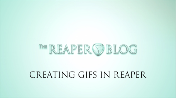 How to create GIFs from videos in REAPER