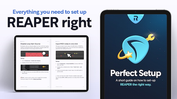 The Perfect Setup eBook by Reapertips